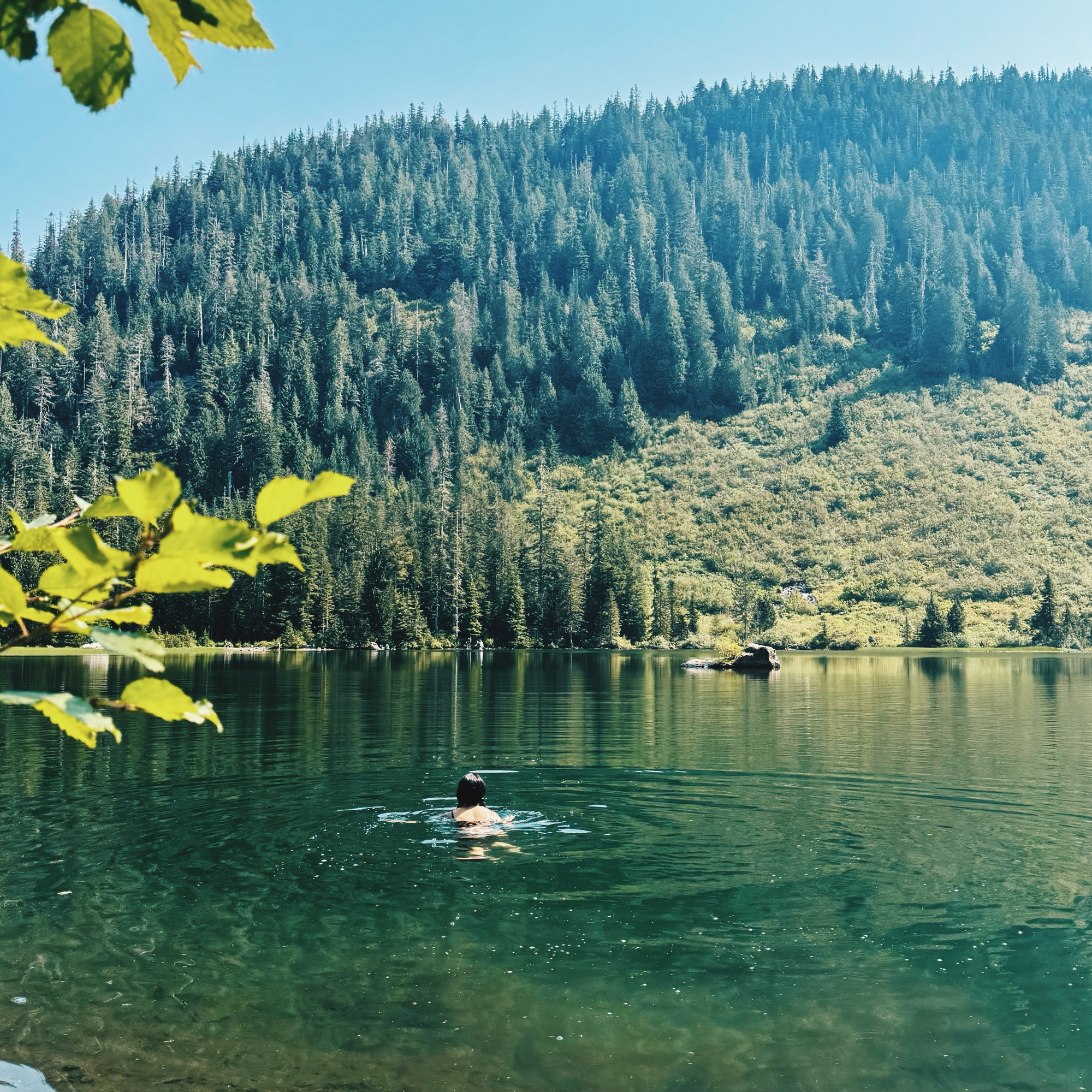 woman swimming in a lake in the washington wilderness in the cascades surrounded by pacific northwest forest